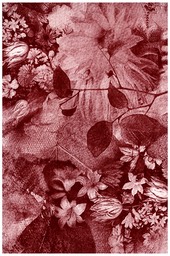 N340 MAROON