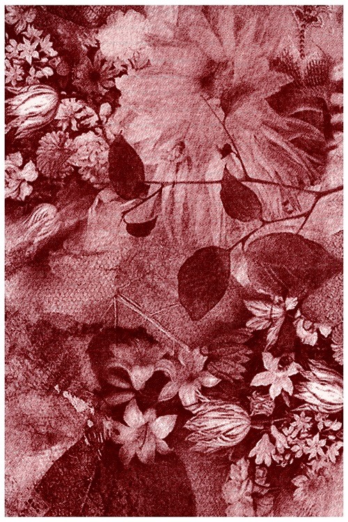 N340 MAROON