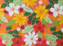 N401 FUSHIA