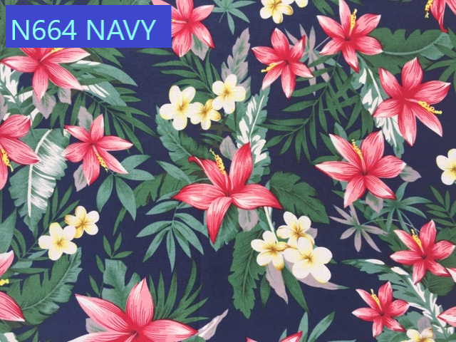 N664 NAVY