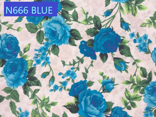 N666 BLUE
