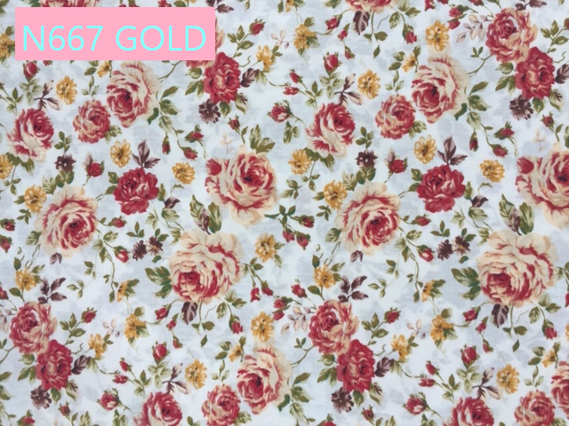N667 GOLD