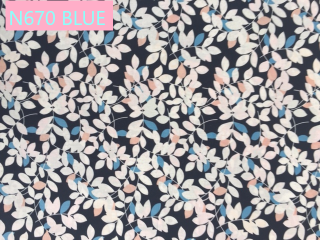 N670 BLUE