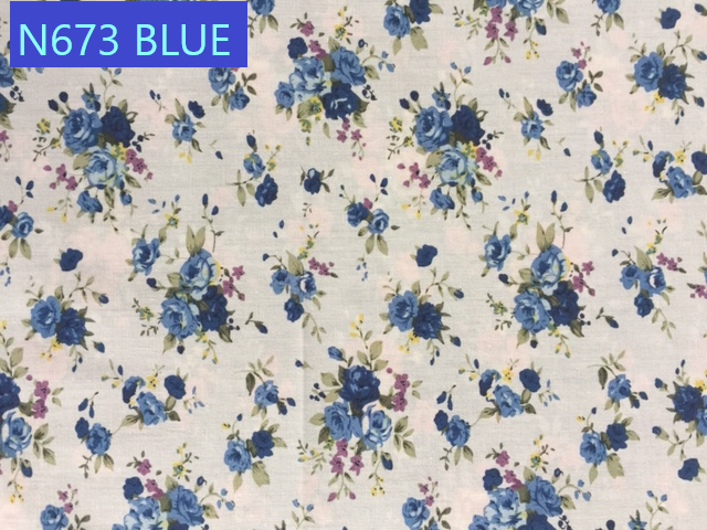 N673 BLUE
