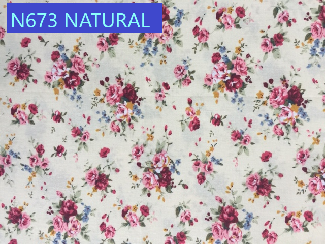 N673 NATURAL