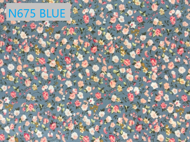 N675 BLUE